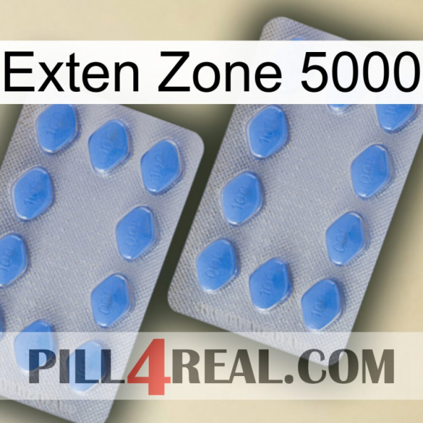 Exten Zone 5000 20.jpg